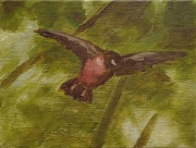 2024-vink-van-Manet-acryl-op-doek-18x24cm