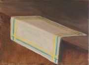 vaatdoekje