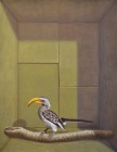 geelsnavel-neushoornvogel-oliepastel-op-papier-147x113cm-2023